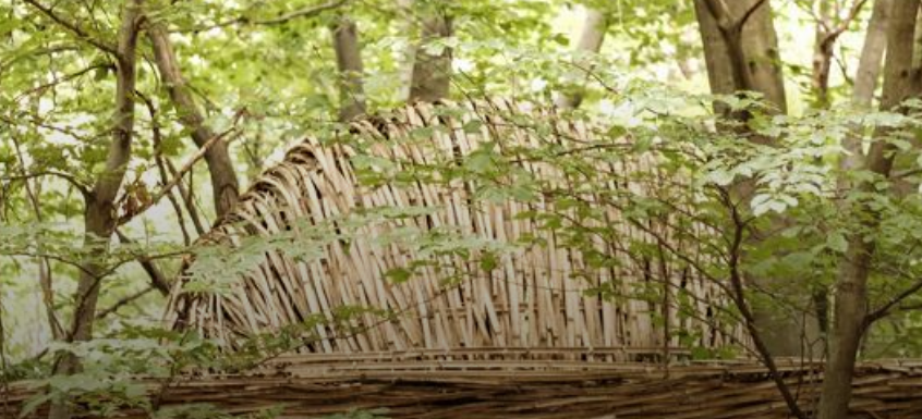 STMediaCH's tweet photo. Zum Entdecken! #Artinbosco in #Tesserete bei #Lugano!  Ein schweizweit einzigartiger Ausstellungspfad! Er entsteht aus der Begegnung zwischen Kunst und Natur, entwickelt sich aber mit dem Wechsel der Jahreszeiten! 
@ticinoturismo @LuganoRegion 
https://t.co/nj1RStaZzc https://t.co/xQevBA78bx