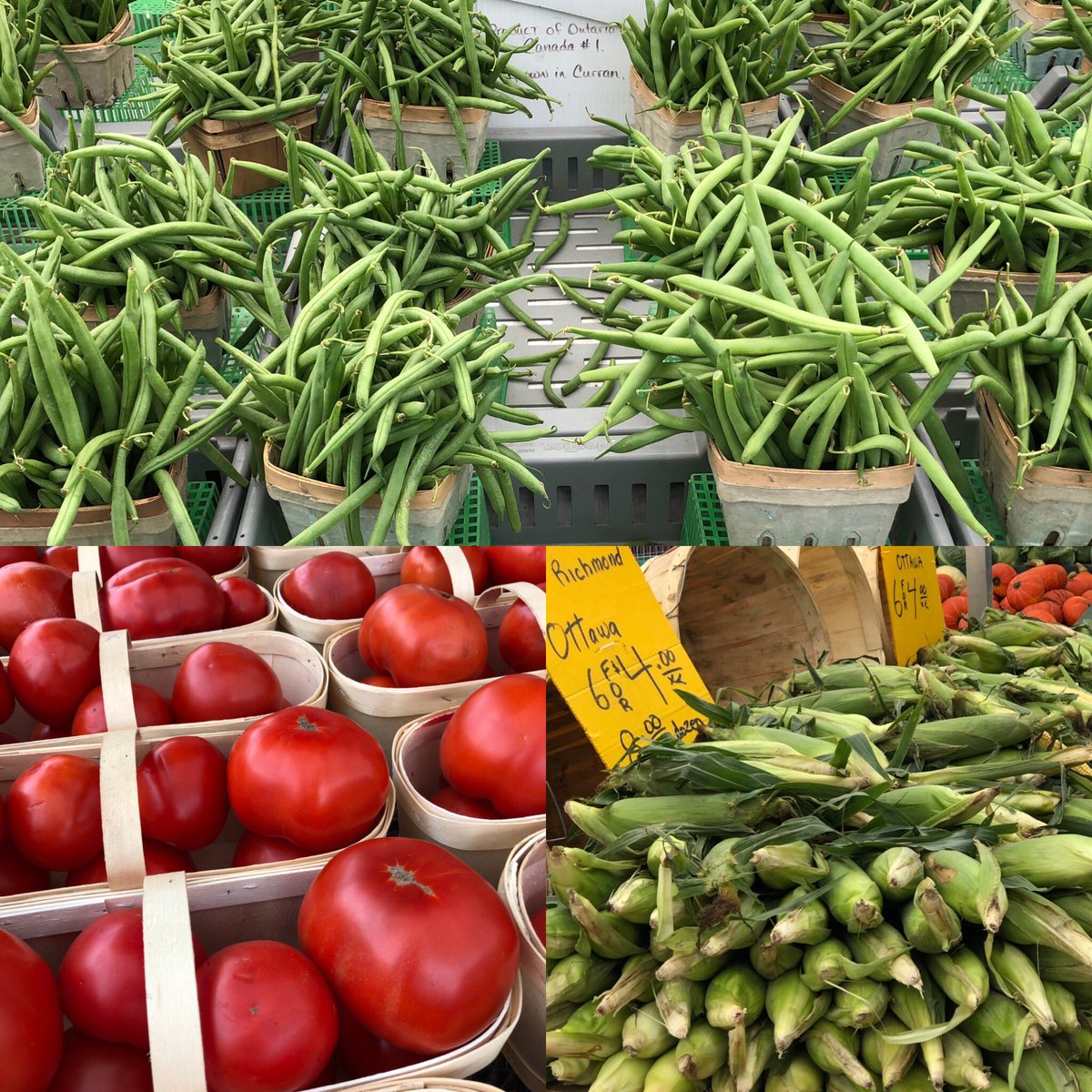 OttawaMarkets's tweet photo. #FallHarvest ? We have yours today by the snack or by the bushel! #OurOttawaMarkets #WhyWaitForTheWeekend https://t.co/gm6CLpChbx