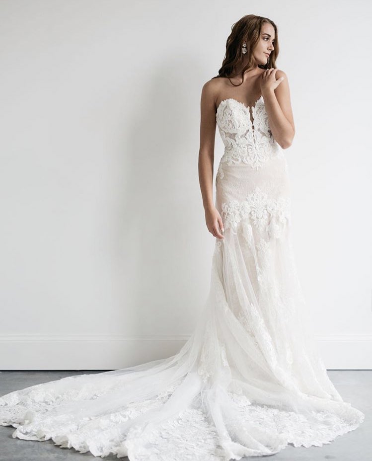 Bodice of dreams ✨