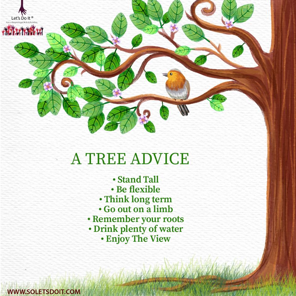 soletsdoit2016's tweet photo. #WednesdayMotivation  brought to you by @IlanShamir 
#LetsdoIt #TreeAdvice #PlantTrees🌲#IlanShamir https://t.co/LB77iOPcjS