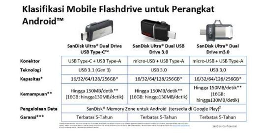 Sandisk Dual Drive