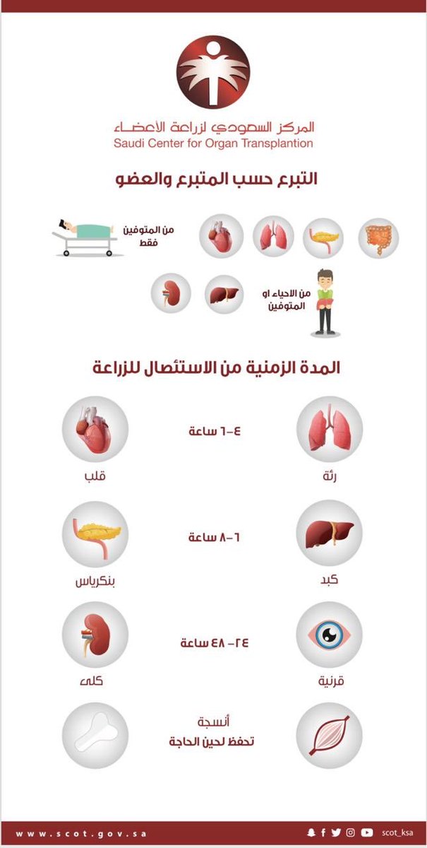 بالاعضاء للتبرع المركز السعودي أصداء فورية