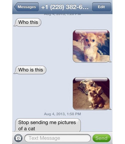 vtipek's tweet photo. Přestaň mi posílat obrázky koček 😀

#vtipek #joke #funny #vtip #humor #zabava #sranda #pes #kocka #zvire #pet #animals #dog #cat https://t.co/A4zIr75PeJ