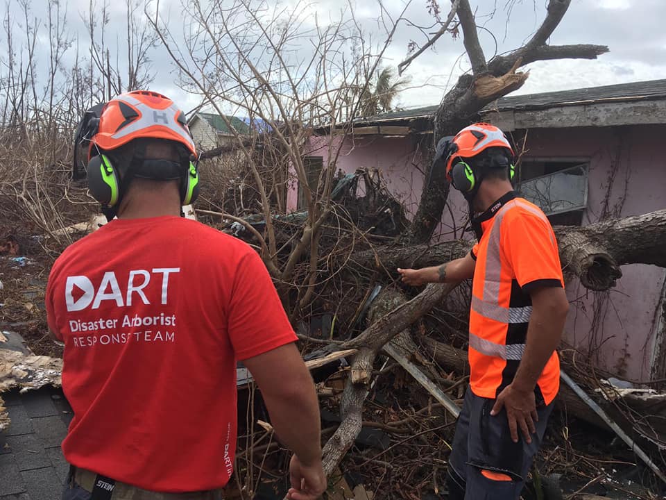DART International tweet media