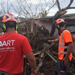 Photo by DART International (@DART_Arborists)