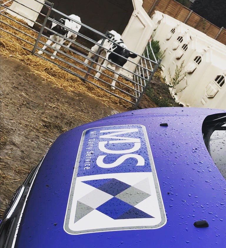 MillDairy's tweet photo. Another wet one in #Norfolk today 💧#milldairyservice #dairyengineering #farmsuppliers #milkingspares #fullwood #adf #dairymaster #TeamGEA #Milfos #Fabdec #dairyspares #TEAMDAIRY #farming24 https://t.co/dKzY1svDwe