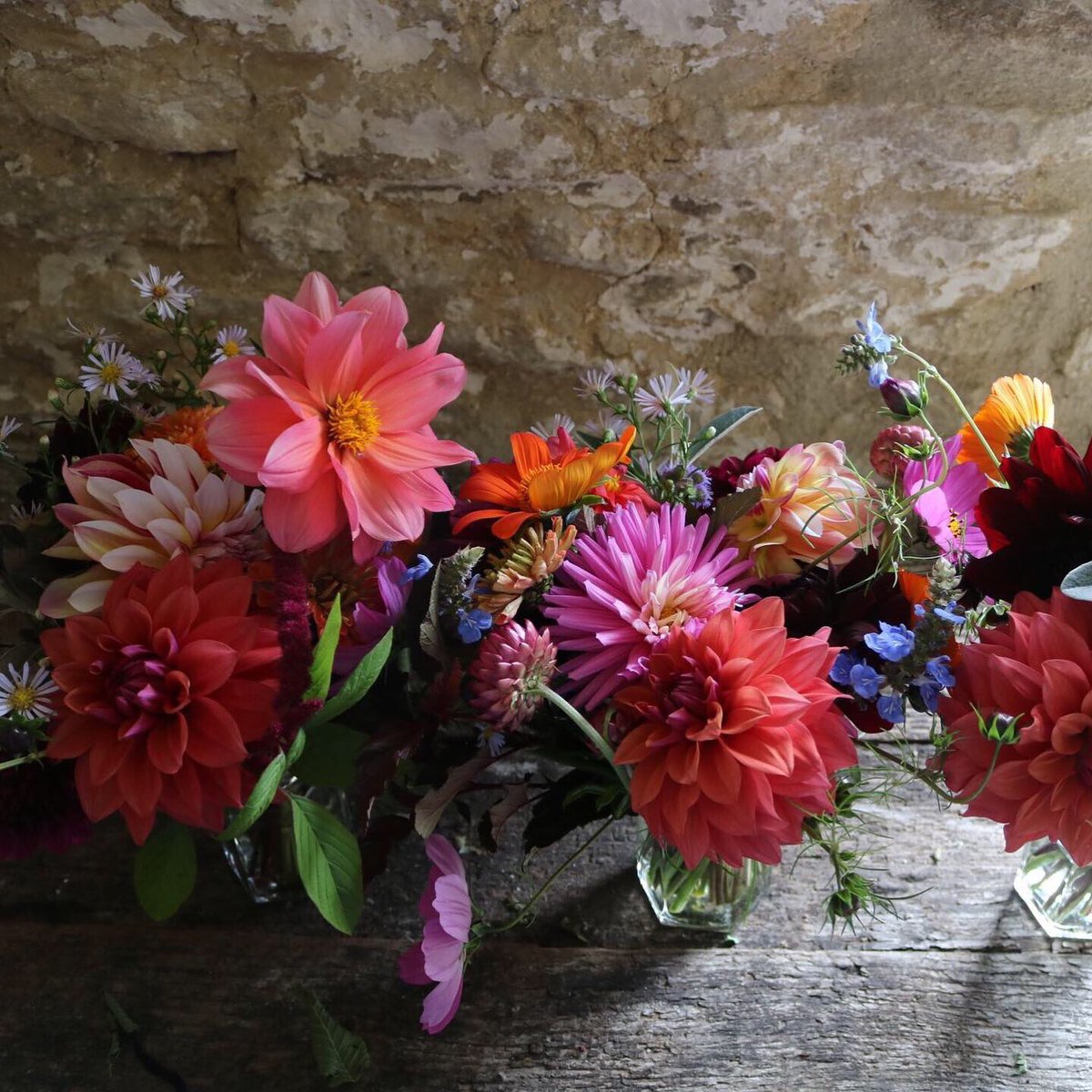 Mid week #somersetwedding: one bouquet, three posies, 9 buttonholes, 24 guests, ALL the chic. #weddingwednesday #britishflowers #mygardenrightnow #somersetflowers #somersetflorist