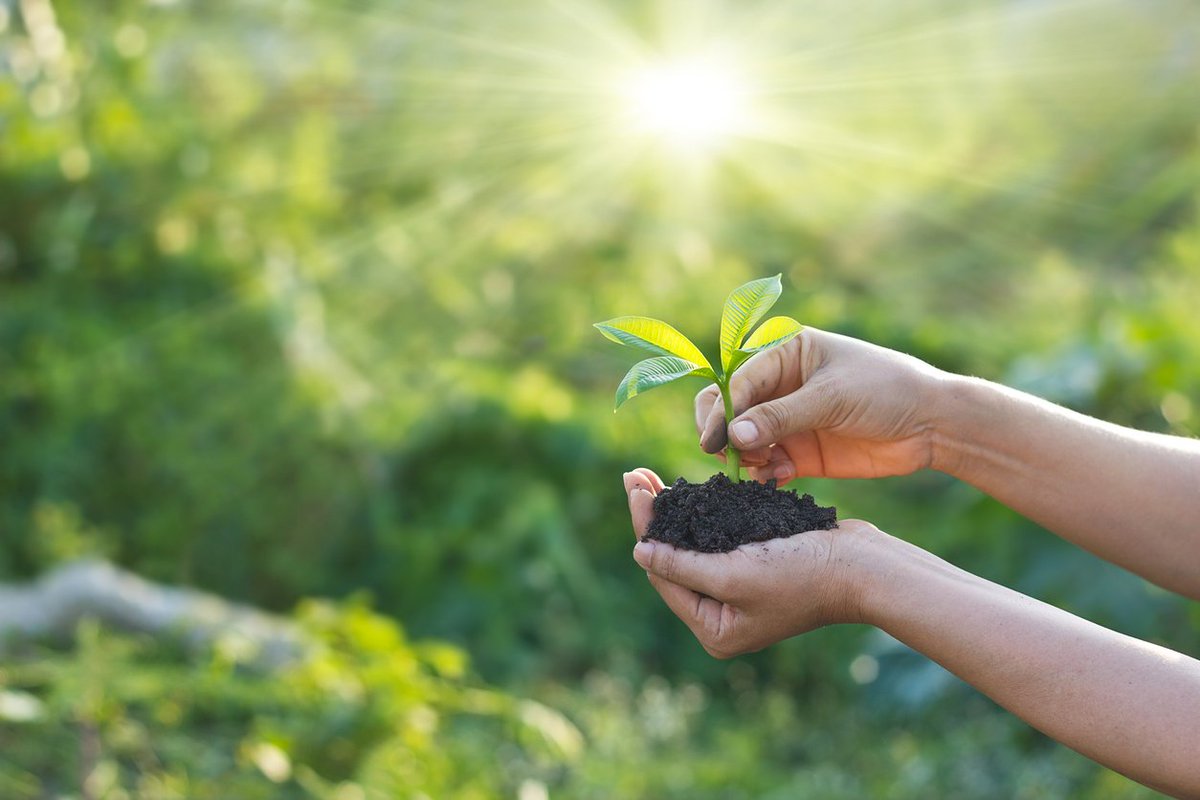 StirlingBiz's tweet photo. Businesses in need of new life wanted!

Our client co-invests in acquisition opportunities across a wide range of deal values - actively looking for businesses which offer the potential to be developed and taken to “the next level”.....

https://t.co/QTbdUk4N7t https://t.co/v5iUNSAs2d