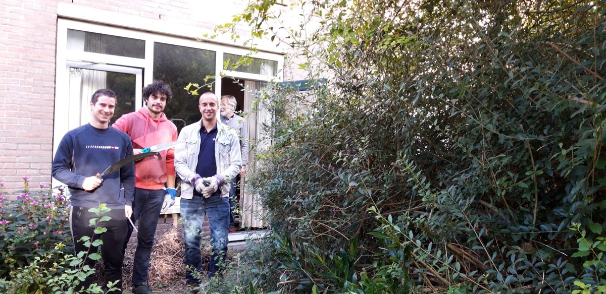 presentdordpap's tweet photo. @bizzomate en oerwouden. Zelfs van het bewoonbaar en toonbaar maken van tuinen hebben ze bij Bizzomate verstand van. 7 medewerkers hebben afgelopen vrijdag twee tuinen van kwetsbare burgers weer netjes gemaakt. En DWGroen zorgde voor het afvoeren van het tuinafval. Helden in MVO! https://t.co/fiYRF0tyrU