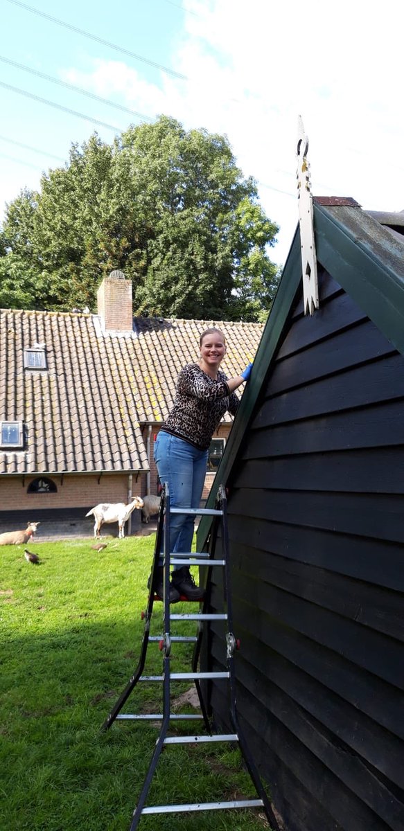 presentdordpap's tweet photo. Weer een bedrijf die bewust kiest zich maatschappelijk in te zetten! Jansen Recycling uit Dordrecht hielp mee samen met verstandelijk beperkten om op de kinderboerderij op hun terrein klusjes te klaren! Toffe ontmoeting en lekker wat klusjes geklaard! Bedankt! https://t.co/djA1m1HDBS