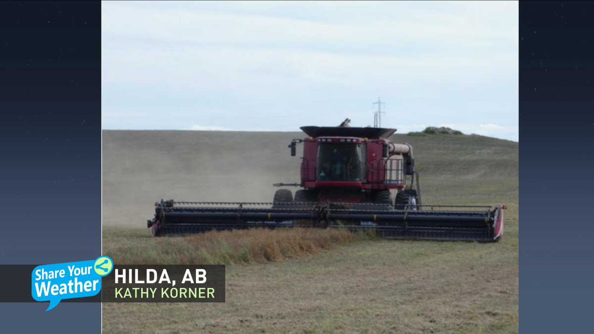 MurphTWN's tweet photo. With all this talk of #ABsnow, #SKsnow, completing the harvest taking on new urgency. Thanks to Kathy Korner from #Hilda, AB for photo. There is still considerable uncertainty as to the northern extent of the snow AND snowfall amounts. Check back often as updates become available https://t.co/pSlEVtb1UZ