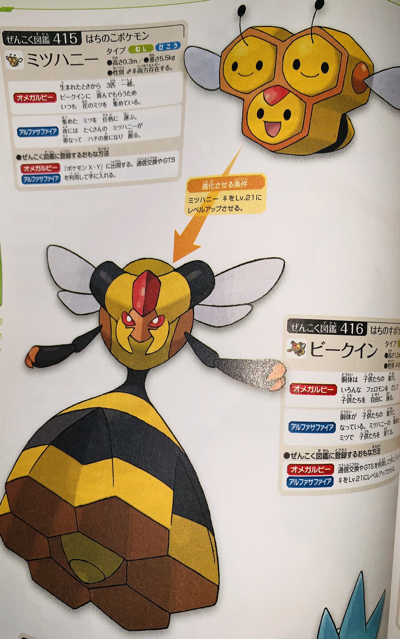 迷子のたこてん これをモチーフにしたポケモンの ミツハニー の分岐進化があってもいいなと思ってしまった ポケモン ミツハニー ビークイン 進化 分岐進化 ミツバチ T Co 5ytaogxlxt Twitter