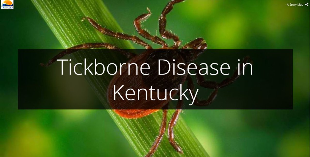 EnviroHealthKy's tweet image. #WednesdayWisdom Planning a hike to look at the fall leaves? Be #TickAware and make sure you can tell the difference between a Deer Tick and a Dog Tick. For more information on ticks in KY, visit: bit.ly/2kPg2kO