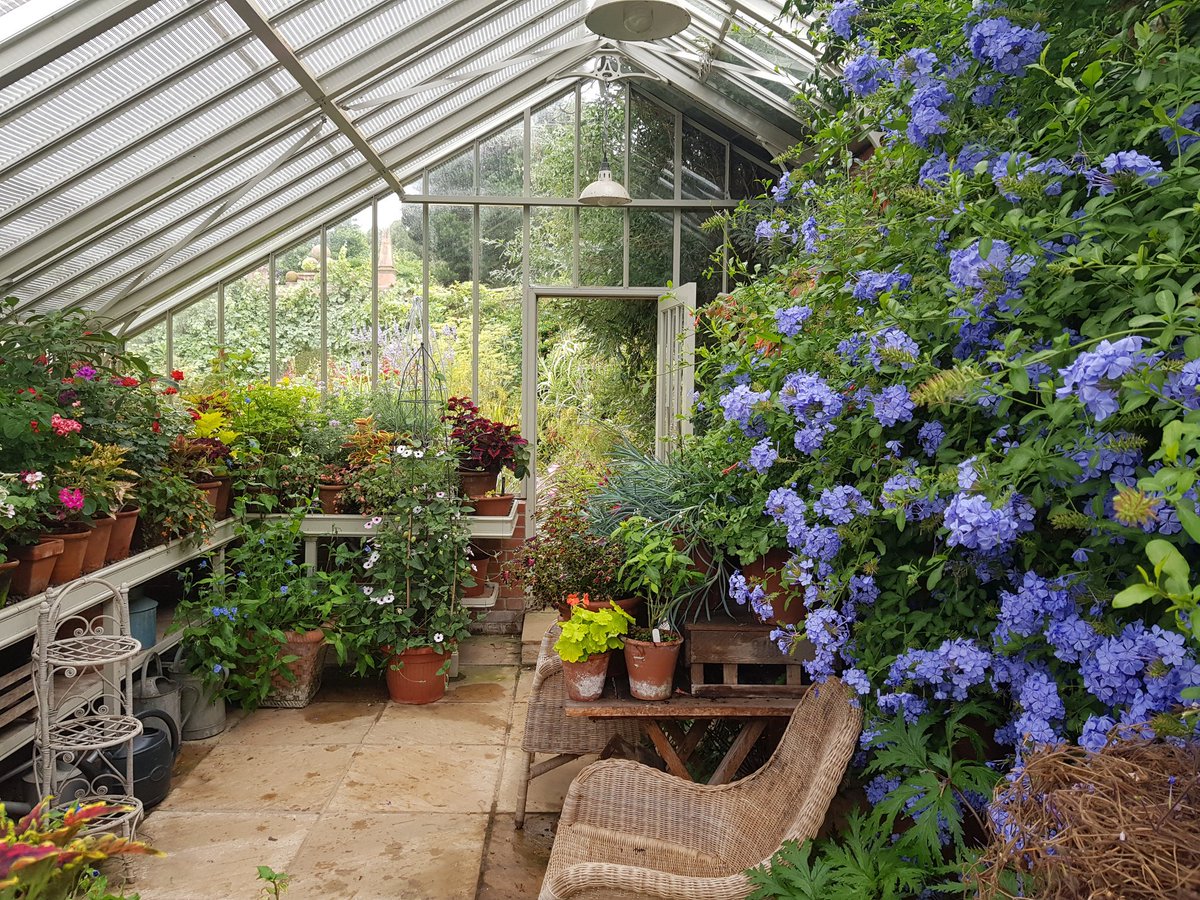 bloominBridget's tweet photo. @Alitex greenhouse displaying lovely autumn colour @ERustonOldVic https://t.co/iJMqp2aMqU