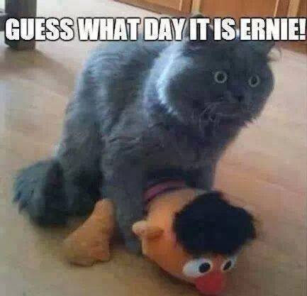 godzilla19693's tweet image. #YouKnowWhatDayItIs !!!!!!!!!!!!!!!!!!!