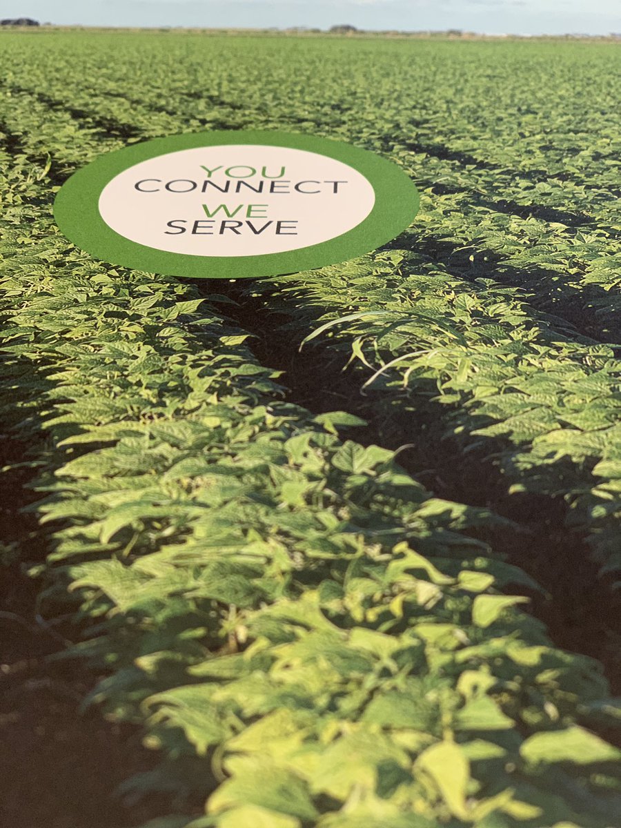 FlaFruitandVeg's tweet photo. “Plant breeding is the most sustainable way to support #FloridaAgriculture“ @UF_IFAS  @JackPayneIFAS #FFVAconvention https://t.co/8zvQMnIuMK