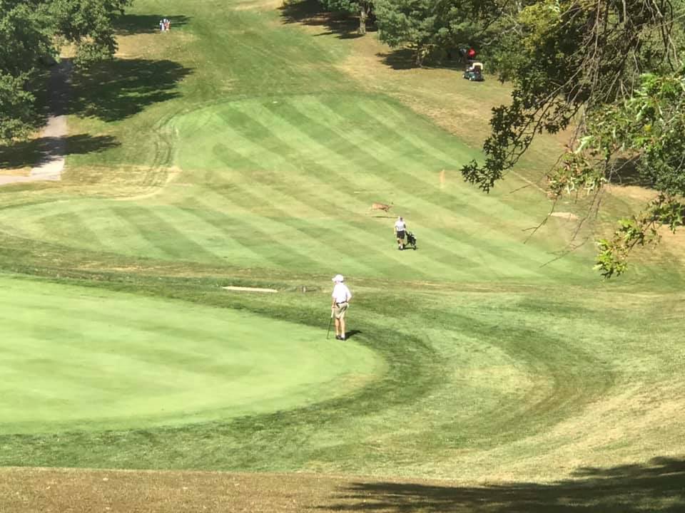 Knospe Schaber Frank kenton golf Betrunken werden Geh hinauf Vice