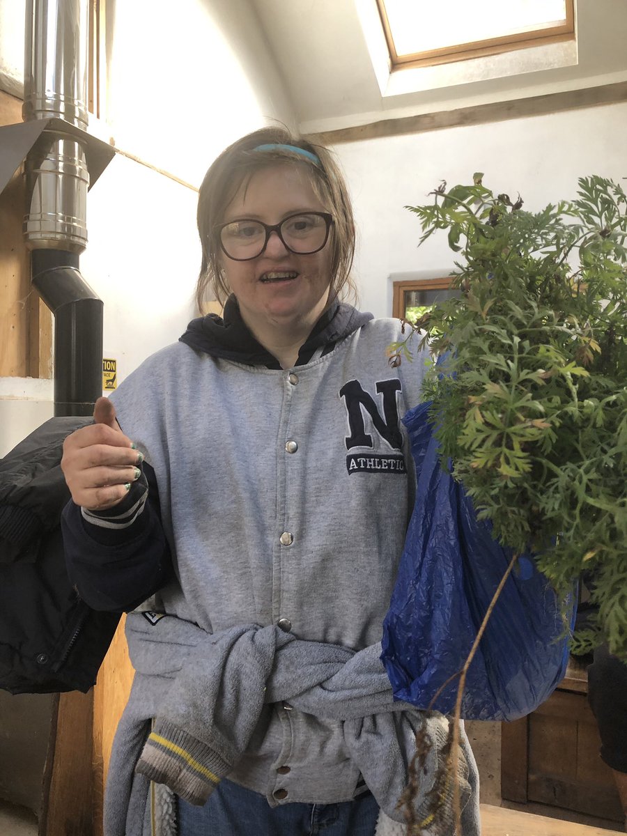 Earthworks_'s tweet photo. Earthworkers have been harvesting their vegetables from their own plots to take home. Sweetcorn and carrots! #harvest19 #earthworkers #sustainable #HealthyEating https://t.co/VJflnuM9fM