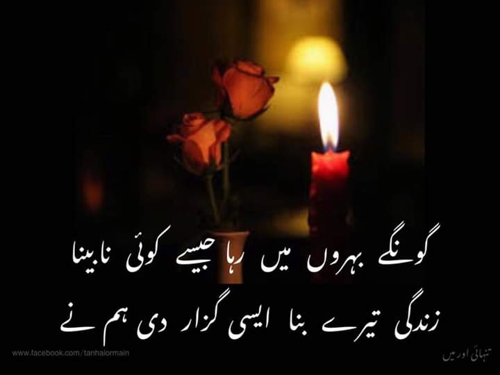 Awais Haider Awan 🇵🇰 tweet media