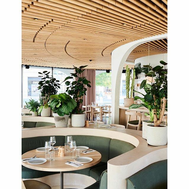 When the team from @caravanrestaurants drops another ⚡️@vardorestaurant is now open in Chelsea ... Our Guernsey milk on deck with that @caravanroastery ⚡️👌💯👏 #london #restaurants #newopening #dairy ift.tt/2lryMqZ