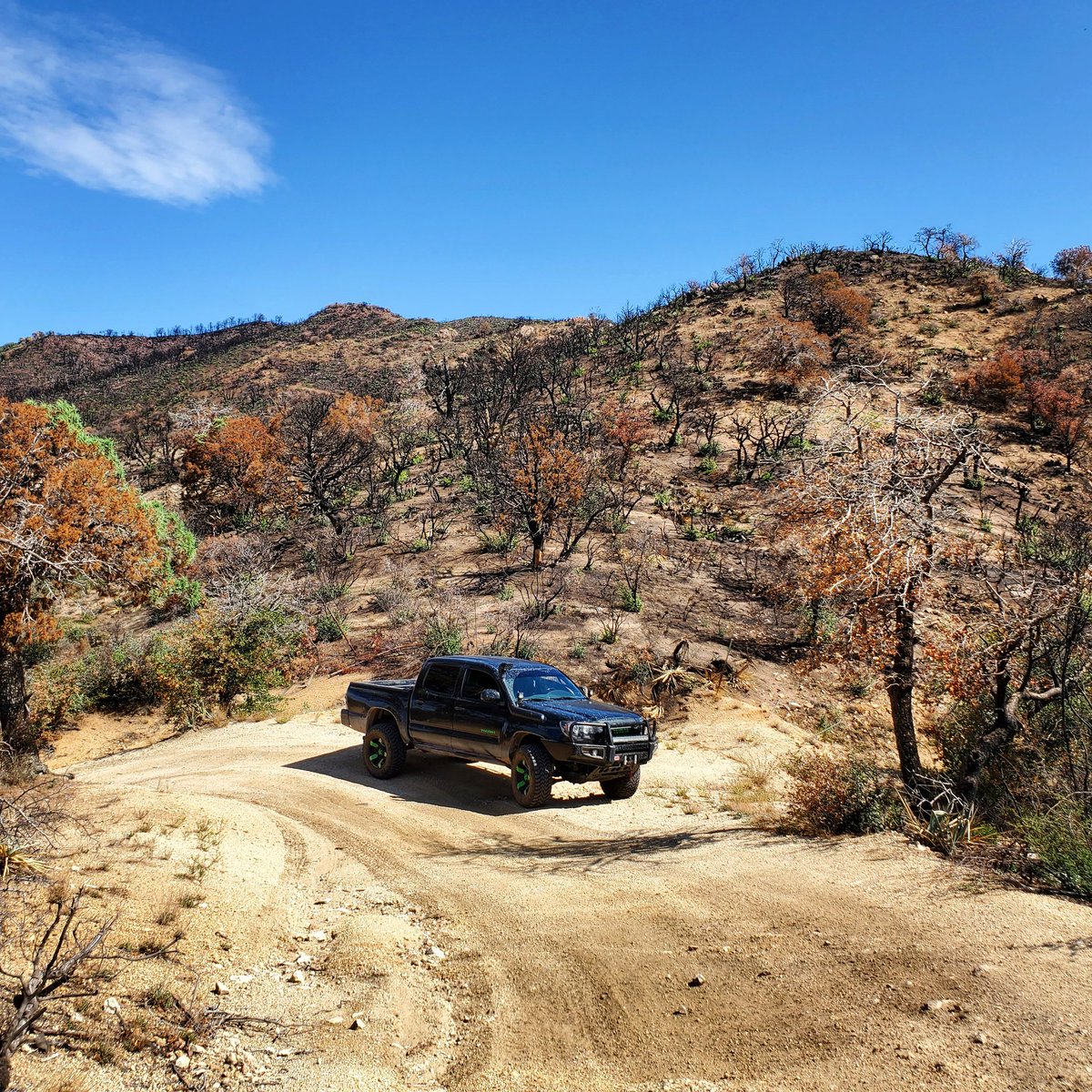 xploring_trails's tweet photo. The #Woodburyfire burned 120,000 plus acres in the #Superstitionwilderness.. It's nice to see new growth after only 3 months.
#exploringtrails #outdoors #visitarizona #nature #landscape #photography #ig_arizona #southwest #travelarizona #hiking #hikingadventures #trails #desert https://t.co/UukNJoiS1Z
