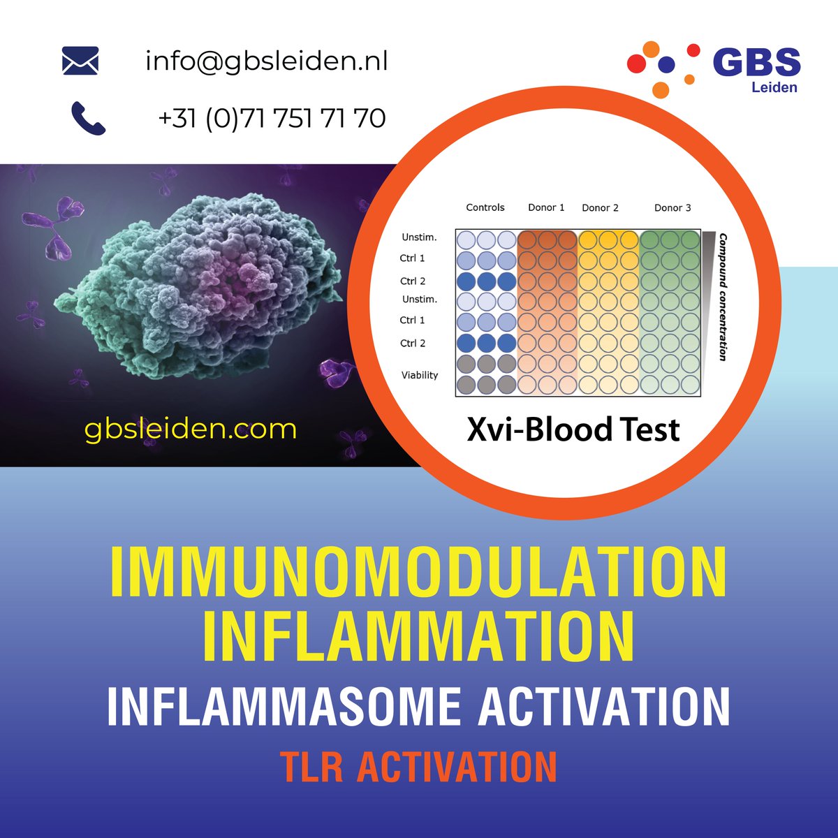 #Test and #learn more about the #immunomodulatory ability of the drug that you are looking forward to develop. Is it safe? How it works on #human_cells? GBSLeiden.com can help you find the answer with their #Xvi-Blood assay.