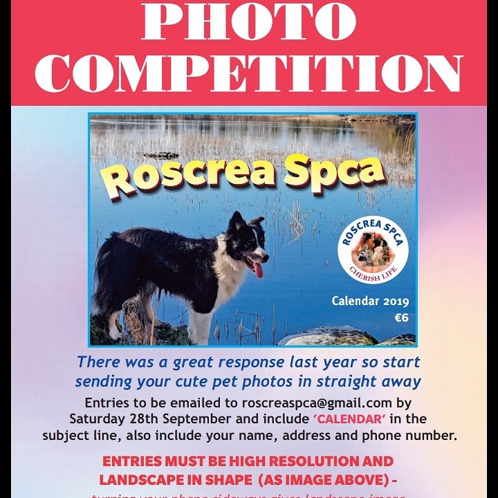 roscrea spca