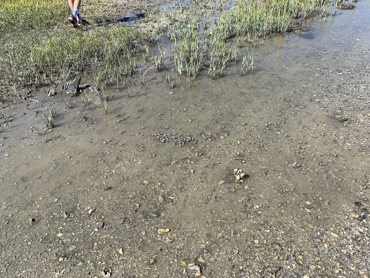 Trinity’s extended family. #trinityoe