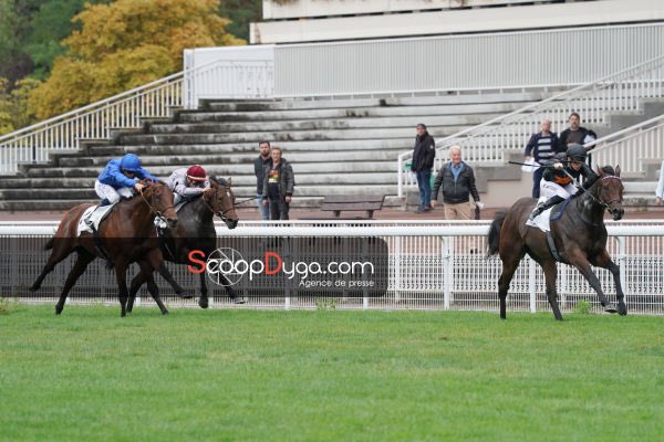 AsCrombez's tweet photo. What a dream!!!! Alexander James, owned by Craig Buckingham and ridden by Tony Piccone won a class 1 in Maisons Laffitte today... by 3 lengths https://t.co/BeyNn3y0qR