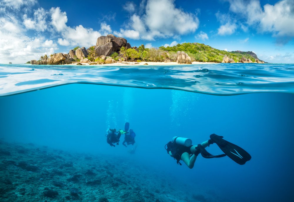 airmauritius's tweet photo. Air Mauritius débute ses opérations vers les Seychelles: https://t.co/IJa927sPAb #FlyAirMauritius https://t.co/1zyBNwWtPK