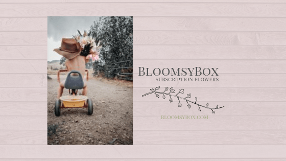 themamaplaybook's tweet photo. BloomsyBox Flower Subscription Service! https://t.co/O8OWBRSYnr https://t.co/KyoMpUvsPr