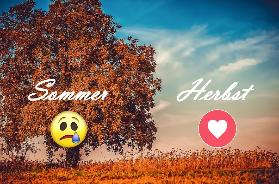 fruittechraab's tweet image. ✨🍂#Herbstbeginn# 🍁✨
#Sommer#vermissen#Herbst#welche Jahreszeit ist euch lieber?#