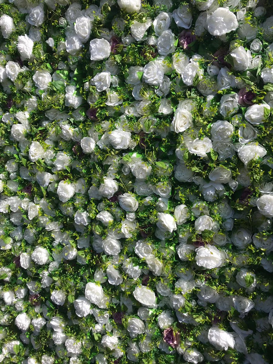 Rbars_'s tweet photo. Flowerwalls available https://t.co/oSyBi716SL https://t.co/aJUAEs2wiR
