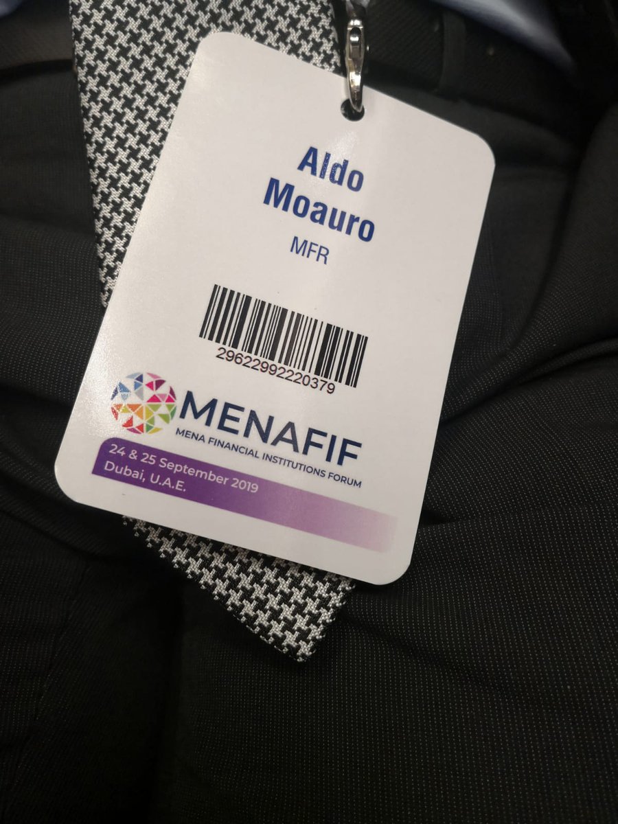MicroFinRating's tweet photo. #MENAFIF2019: our Managing Director @AldoMoauro
speaking on #ESG standards for financial institutions. #impactinvesting #financialinclusion #sustainabledevelopment https://t.co/qEcfNxA4PN
