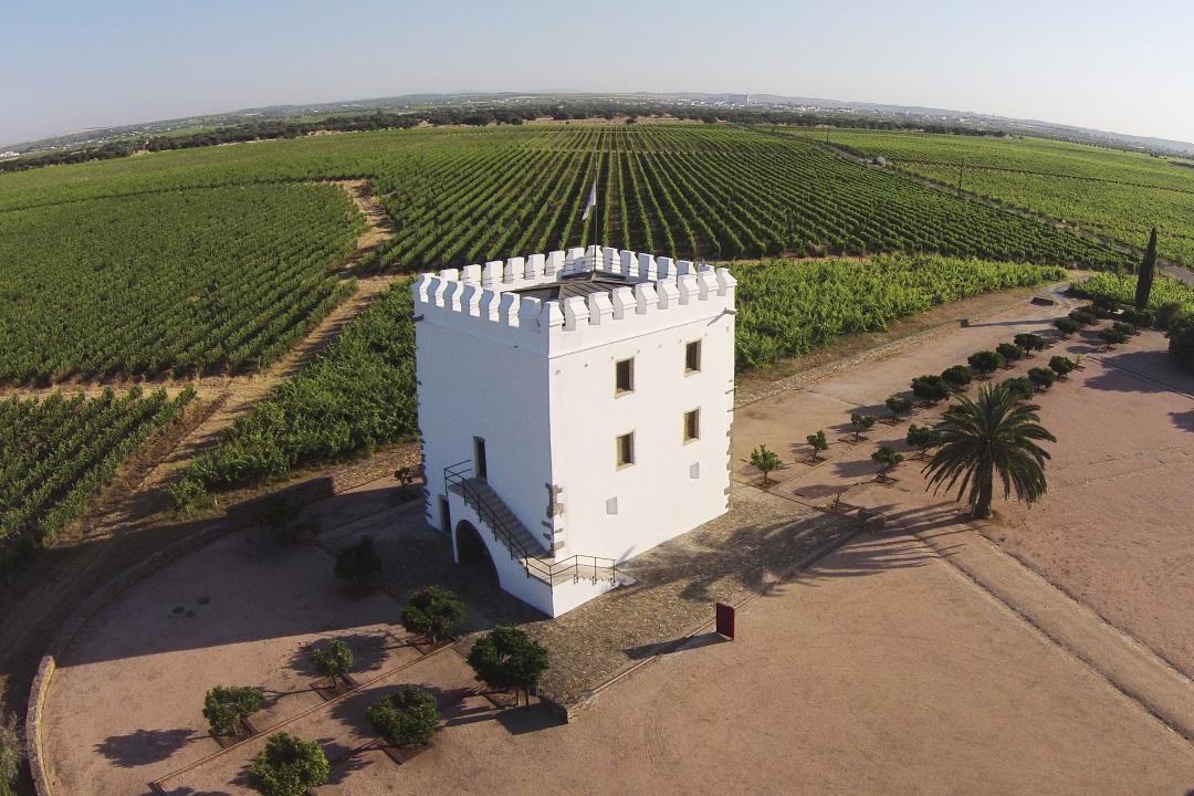 SPENDINmagazine's tweet photo. 🇵🇹  Herdade do Esporão. Os outros vinhos portugueses:
👉 https://t.co/jerWQebAZ2
#SPENDIN #Gourmet https://t.co/1cGUoezcvn