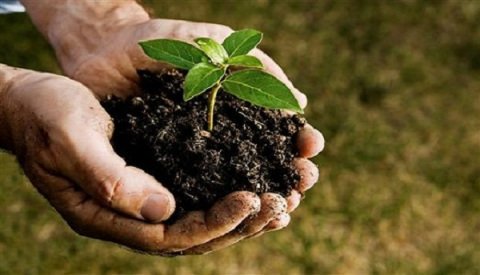 This study categorizes the global #FertilizerAntiCakingAgents breakdown data by manufacturers, region, type and application, also analyzes the market status, market share, growth rate, future trends, market drivers@ bit.ly/2l0tz9j