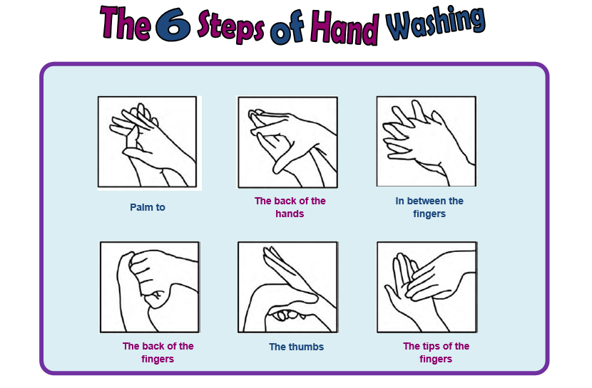 HealthyWalsall's tweet photo. Some great information about the spread of bugs stressing the importance of good hand hygiene. Sue's top tip is to sing Happy Birthday while washing our hands to make sure we have completed all the steps #IPCWalsall https://t.co/gbPkzkAULw