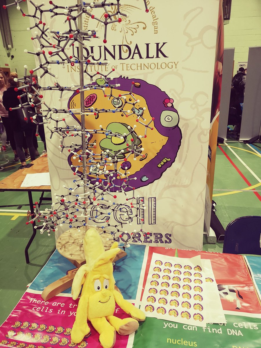 cargilleran's tweet image. It&apos;s @Cellexplorers sign-up day, we are in the MPC all day at the Clubs &amp;amp; Societies event, come say hello #volunteer #dkitscience #thinkdkit #scienceoutreach #cellexplorers