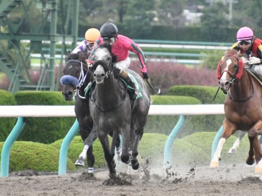 競馬で稼ぐ人のブログまとめ Seiyuusokuhou Twitter 競馬で稼ぐ人のブログまとめ Seiyuusokuhou Twitter