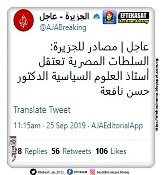 كل الاخبار المنشورة عن القبض على د.حازم حسنى و حسن نافعة بمصر