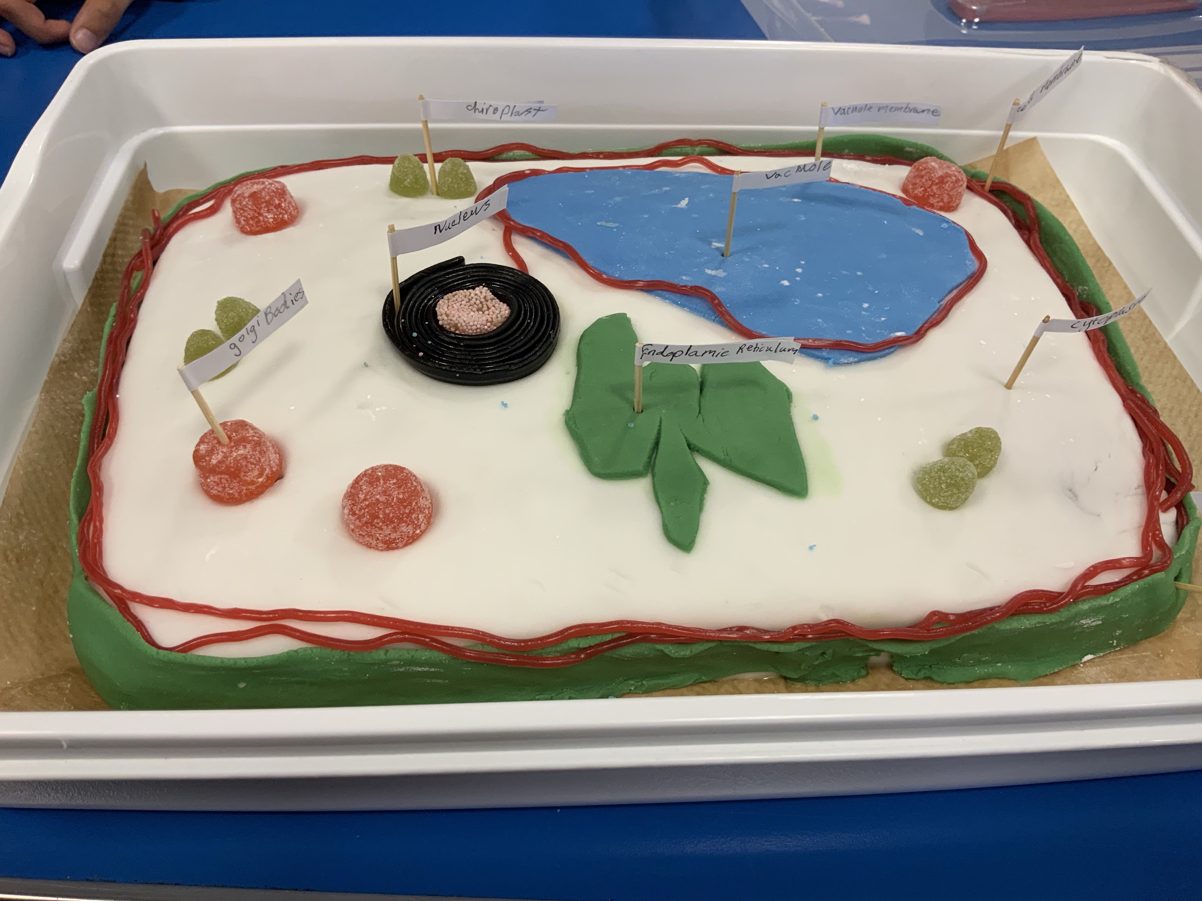 plant cell project cake ideas