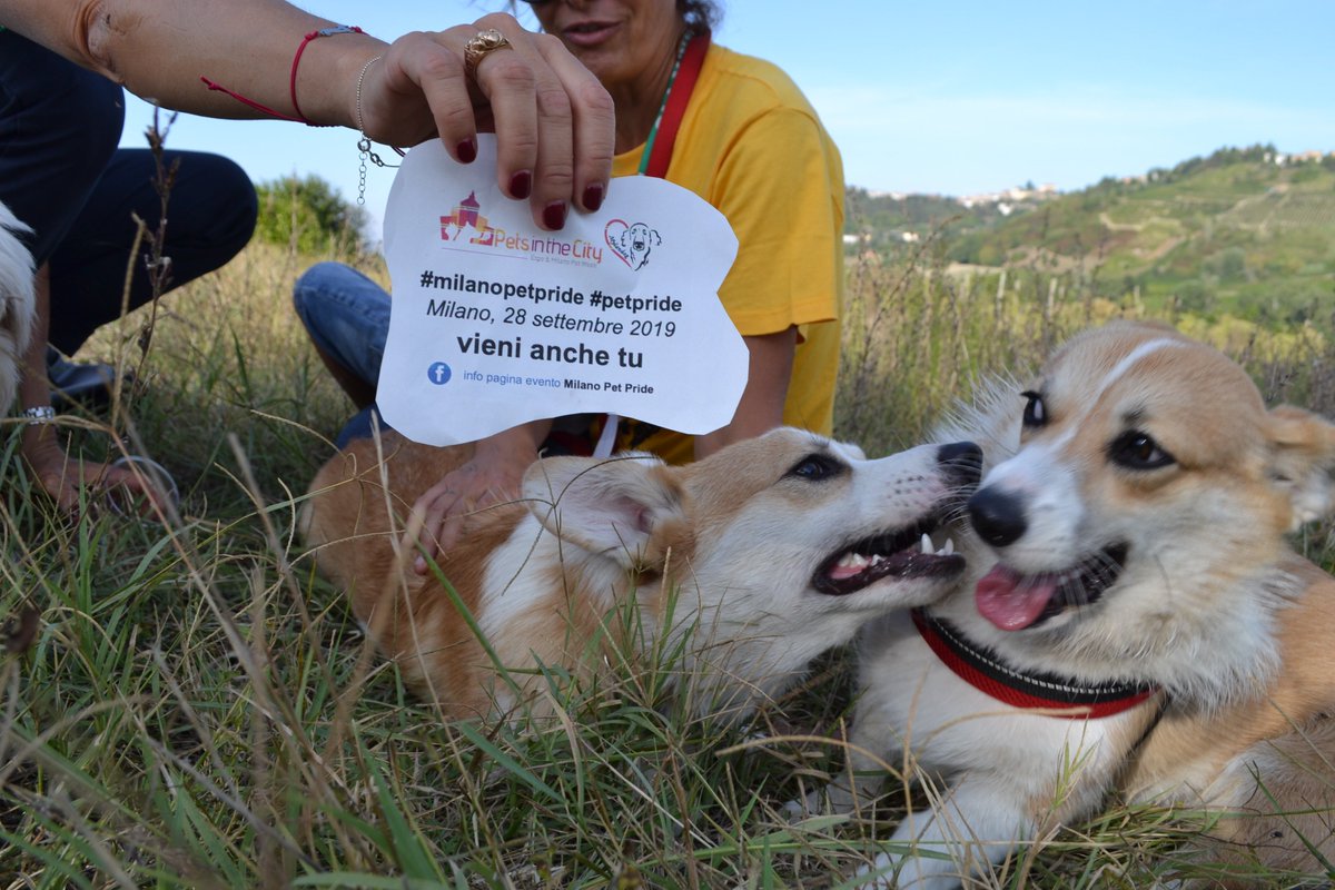Mylandog's tweet photo. Sabato 28 settembre, #viasPETtiamo al primo #MilanoPetPride 🐕🦜🐈🐇🐠 evento inaugurale di #MilanoPetWeek, organizzato con #petsinthecity e sostenuto da @Arcaplanet con il suo progetto #FoodStock.

Appuntamento alle ore 16 in piazza Cordusio. https://t.co/ewLiitO6zP
