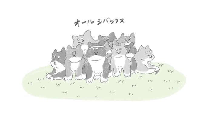 ラグビーいぬ代表? 