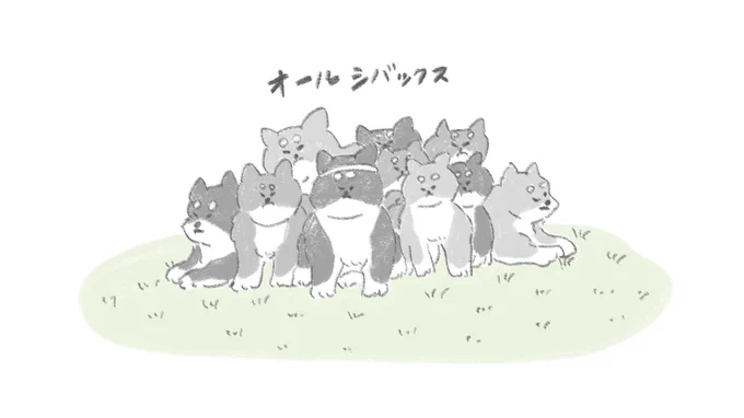 ラグビーいぬ代表? 