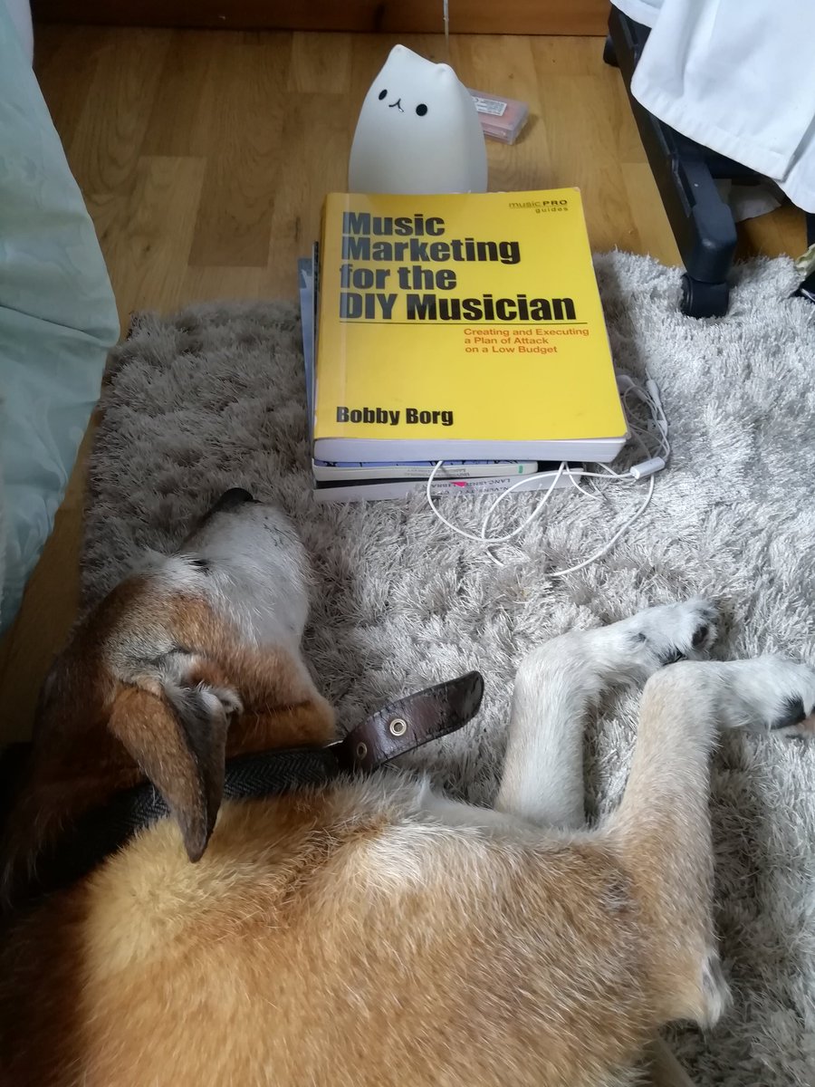 PromoteOurBand's tweet photo. Our newest team member getting caught up on the basics! ๐๐ด๐
#musicmarketing #motivationtowork #officedog https://t.co/sFJPayXEpG