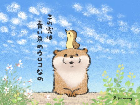 行きたくないの カワウソ 可愛い嘘のカワウソ 新江ノ島水族館様コラボ11 19 1 24の漫画