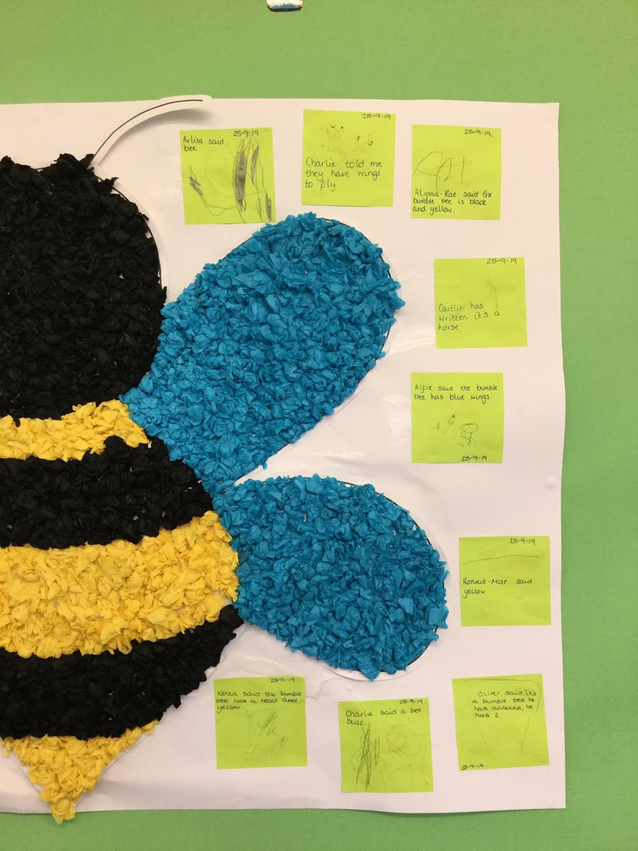 lindenrdbeech's tweet image. How amazing is our working wall looking. We have worked hard describing the features of a bee #LindenEnglish #werebuzzing