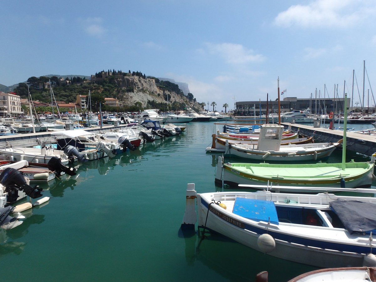 JAppliedEcology's tweet photo. New research published today shows how recreational boats in the #Mediterranean are contributing to the spread of alien species. Read the full paper, free for a limited time: https://t.co/VKh7qZrqcB #InvasiveSpecies @unipv https://t.co/anGdZJ7RlX