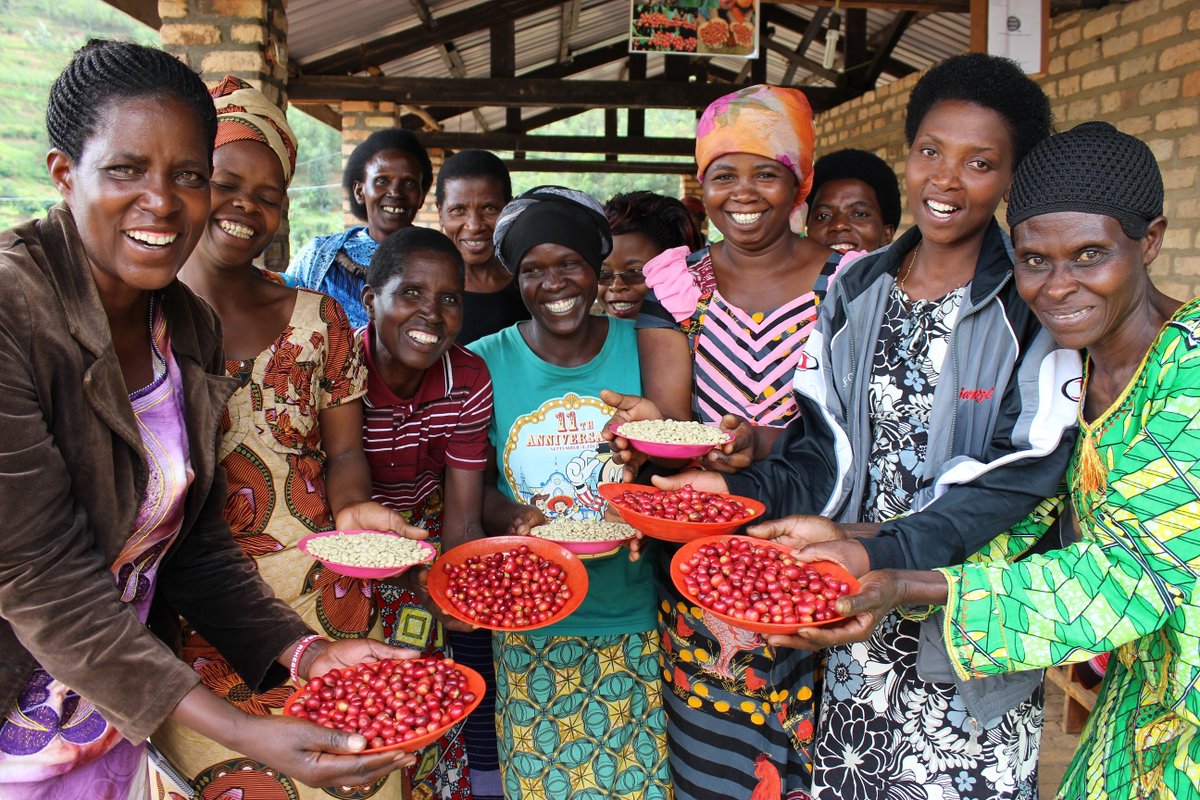 Come and hear from The Challenges Group at <a href="/edincoffeefest/">Edin Coffee Fest</a> on the 5th Oct. They will present on how Scottish support is strengthening the #Rwandan #coffee sector; Improving the lives and opportunities for coffee farming communities across Rwanda.
#Sustainabilty #Fairtrade