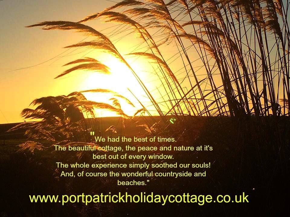 Book your 2020 holiday today.
Peaceful, natural, wonderful countryside and beaches - the perfect coastal retreat. 
Our detached, secluded holiday cottage sleeps up to 4 guests and 2 dogs (dogs stay for free). #seesouthscotland #holiday #scotland